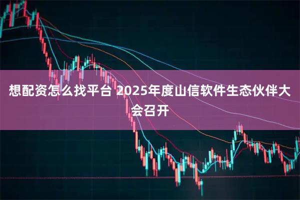 想配资怎么找平台 2025年度山信软件生态伙伴大会召开