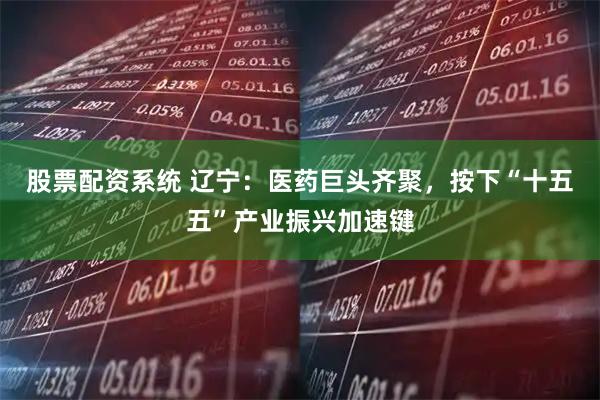 股票配资系统 辽宁：医药巨头齐聚，按下“十五五”产业振兴加速键