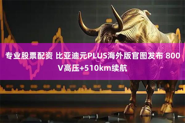 专业股票配资 比亚迪元PLUS海外版官图发布 800V高压+510km续航